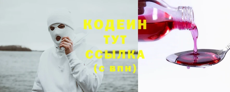 купить закладку  Заводоуковск  Кодеиновый сироп Lean Purple Drank 