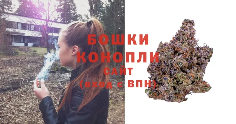 Канабис OG Kush  Заводоуковск 